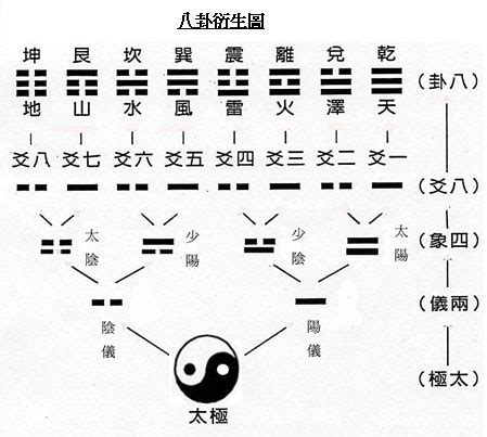 八卦網原理|YSL: 八卦原理